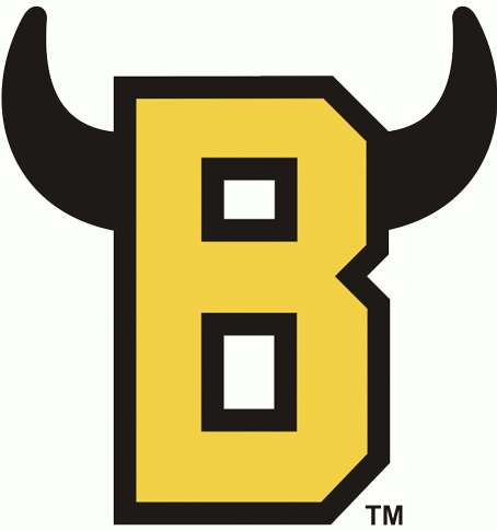 Belleville Bulls 1981-pres secondary logo v2 iron on transfers for clothing